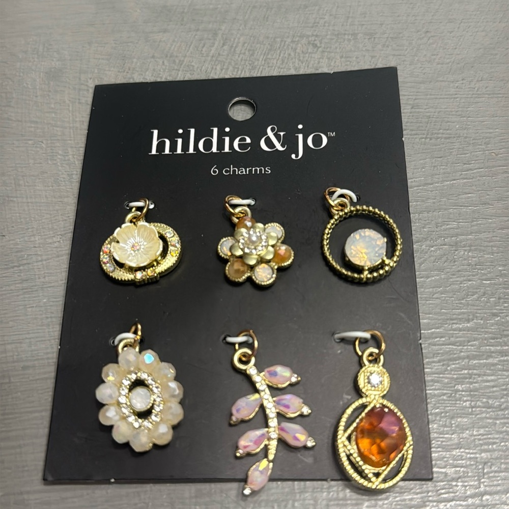 Hildie Jo Charm Set Nwt 11$